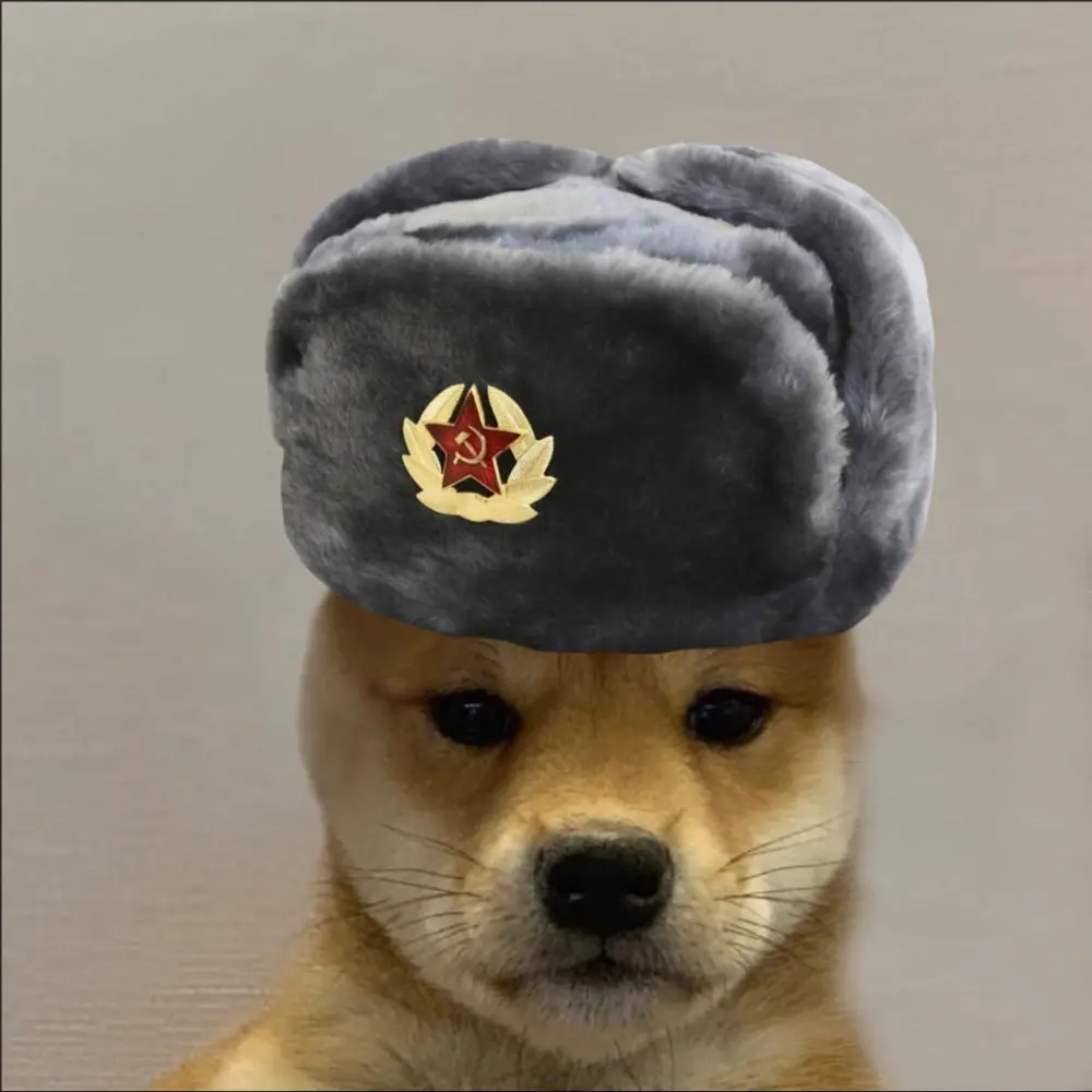 Собака wearing a gray Soviet ushanka